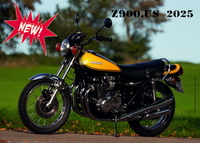 NEW! The Z900.us 2025 calendar!